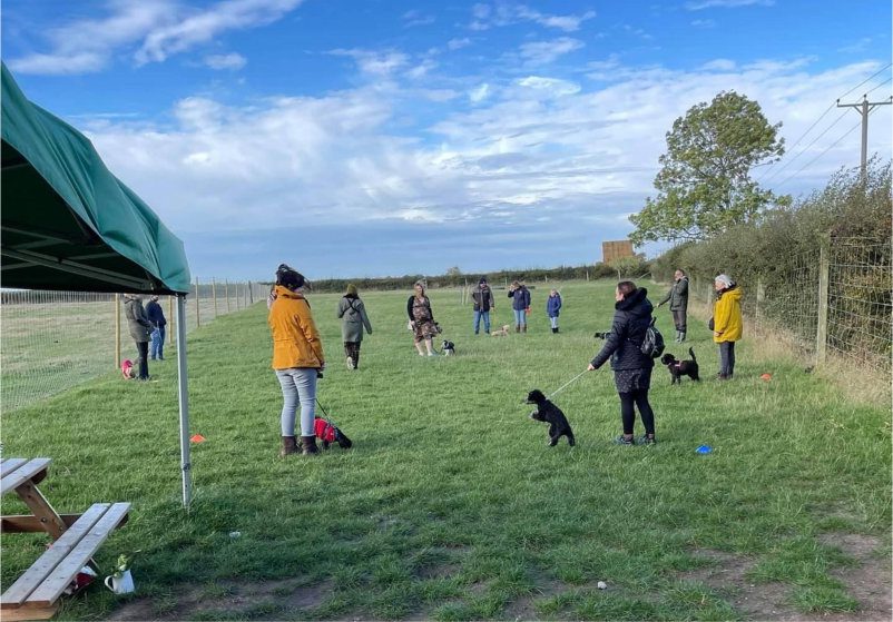 Secure Dog Paddock - Sleaford